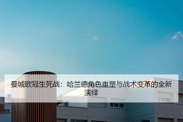 man-cheng-ou-guan-sheng-si-zhan-ha-lan-de-jue-se-zhong-su-yu-zhan-shu-bian-ge-de-quan-xin-yan-yi-2-696.jpg