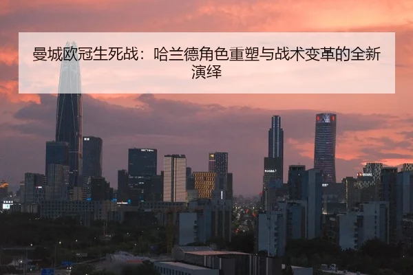 man-cheng-ou-guan-sheng-si-zhan-ha-lan-de-jue-se-zhong-su-yu-zhan-shu-bian-ge-de-quan-xin-yan-yi-3-604.jpg