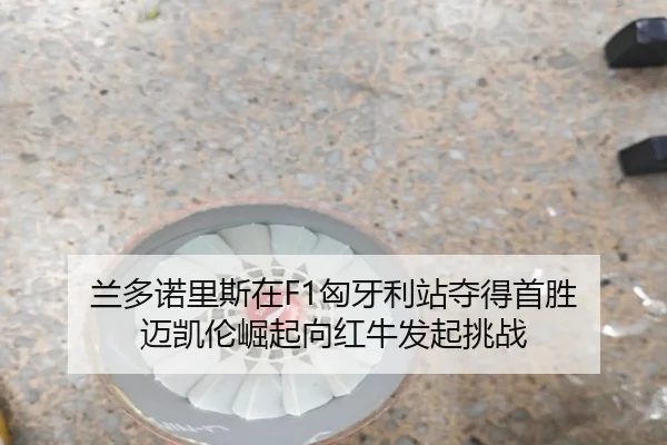 lan-duo-nuo-li-si-zai-xiong-ya-li-zhan-duo-de-shou-sheng-mai-kai-lun-jue-qi-xiang-hong-niu-fa-qi-tiao-zhan-3-503.jpg
